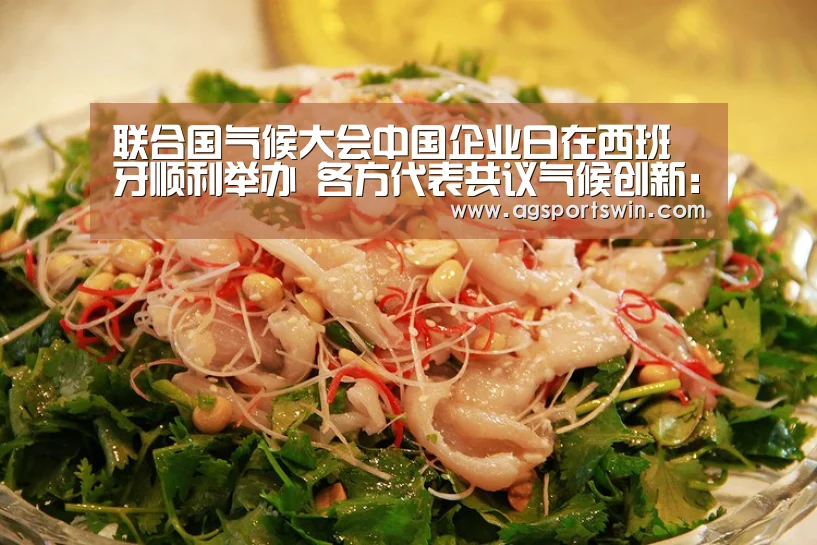联合国气候大会中国企业日在西班牙顺利举办 各方代表共议气候创新:AG百家乐(图3) AG互动