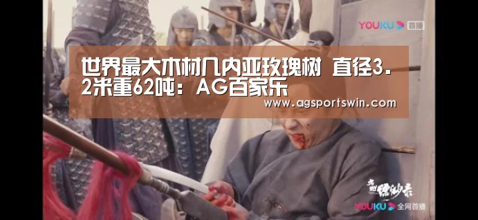 AG视讯