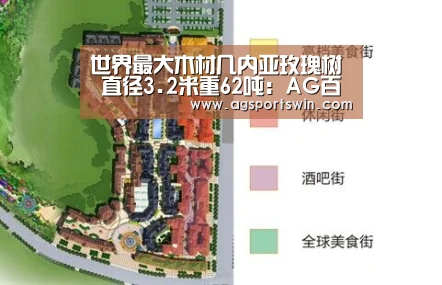 AG百家乐
