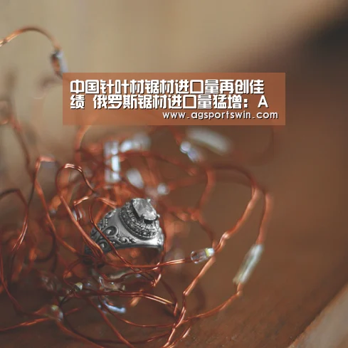 中国针叶材锯材进口量再创佳绩 俄罗斯锯材进口量猛增:AG互动(图2) AG百家乐
