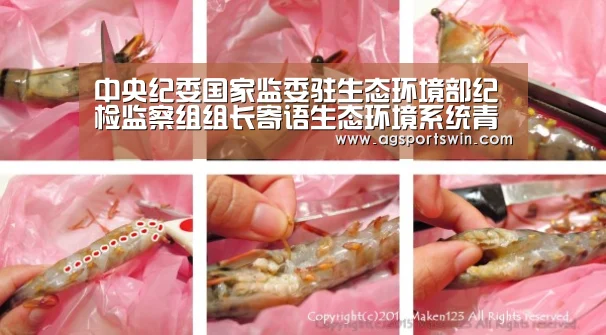 中央纪委国家监委驻生态环境部纪检监察组组长寄语生态环境系统青年铁军:AG百家乐(图1) AG官网
