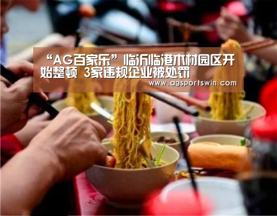 “AG百家乐”临沂临港木材园区开始整顿 3家违规企业被处罚(图2) AG互动