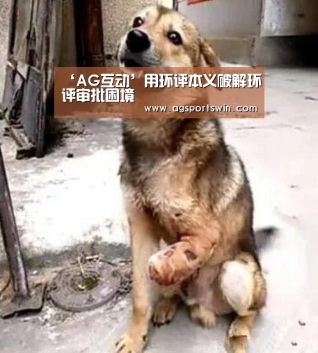 ‘AG互动’用环评本义破解环评审批困境(图3) AG互动