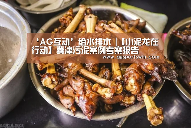 ‘AG互动’给水排水 |【小泥龙在行动】冀津污泥案例考察报告(图4) AG互动