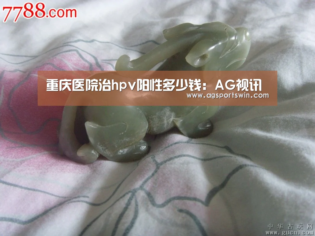 AG百家乐