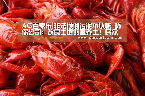 AG百家乐|非法倾倒污泥不认帐 环保公司:改良土壤的营养土!民众亟待真相公布(图2) AG百家乐