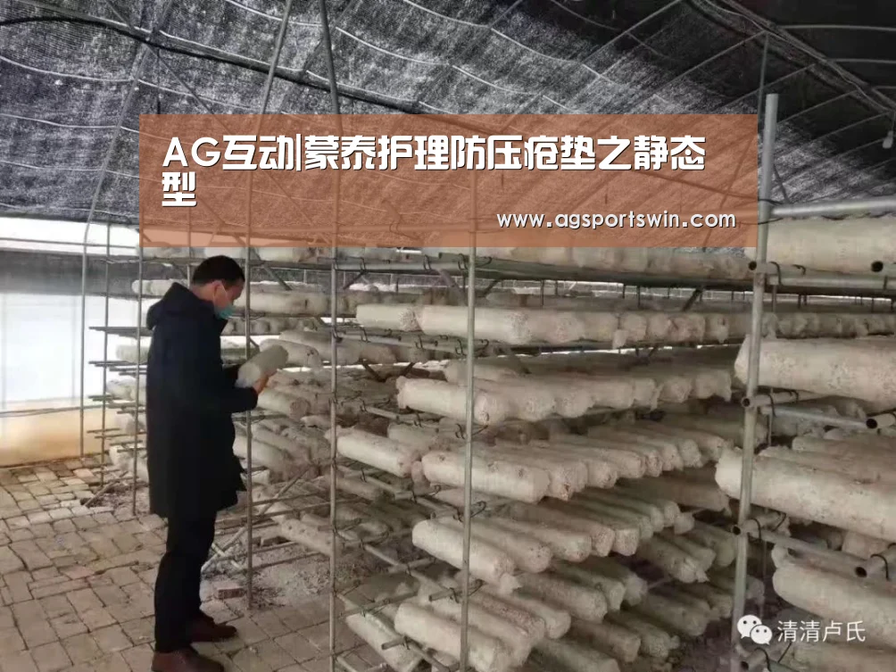 AG互动|蒙泰护理防压疮垫之静态型(图1) AG官网