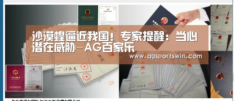 AG百家乐