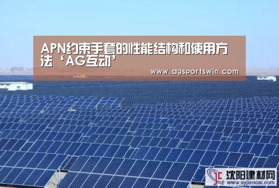 APN约束手套的性能结构和使用方法‘AG互动’(图1) AG官网
