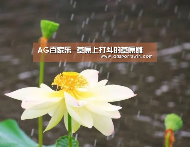 AG百家乐-草原上打斗的草原雕(图1) AG官网