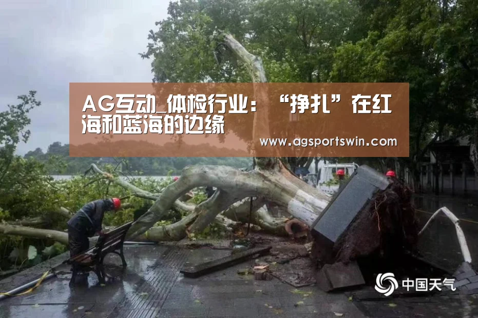 AG互动_体检行业:“挣扎”在红海和蓝海的边缘(图2) AG视讯