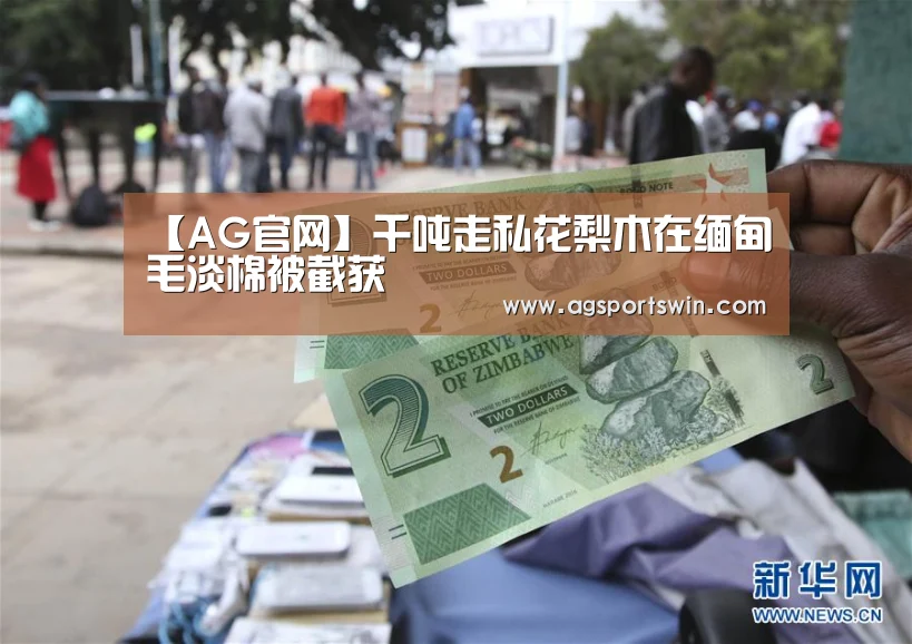 【AG官网】千吨走私花梨木在缅甸毛淡棉被截获(图1) AG视讯