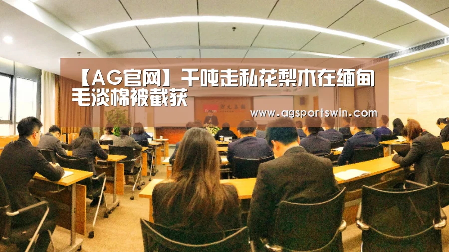 【AG官网】千吨走私花梨木在缅甸毛淡棉被截获(图3) AG视讯