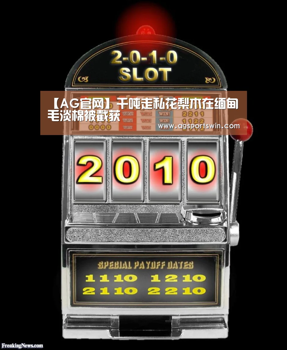 【AG官网】千吨走私花梨木在缅甸毛淡棉被截获(图4) AG互动