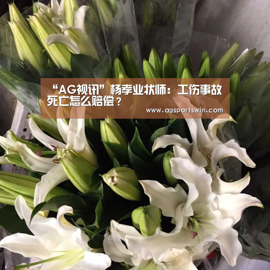AG官网